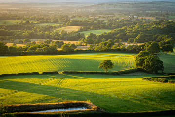 Hilltop view of beautiful sunset over the rural Dorset nearby the village of Hilfield, England - obrazy, fototapety, plakaty