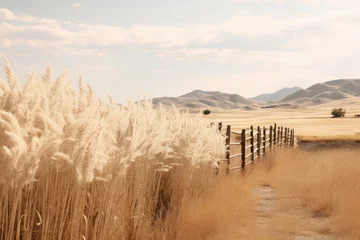 Gordijnen Scenic countryside landscape photograph of a neutral beige western farm backdrop © Andrus Ciprian