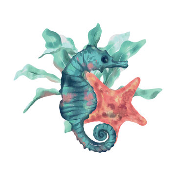 Seahorse, starfish and algae. Vector sea illustration in watercolor style. Greeting cards, invitations, covers, themed flyers and banners.