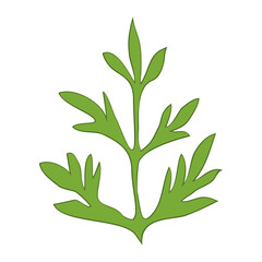 Leaf icon