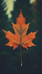 4K colorful leaf AMOLED wallpaper Created with generative Ai