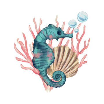 Seahorse, shell, bubbles. Vector sea illustration in watercolor style. Greeting cards, invitations, covers, themed flyers and banners.