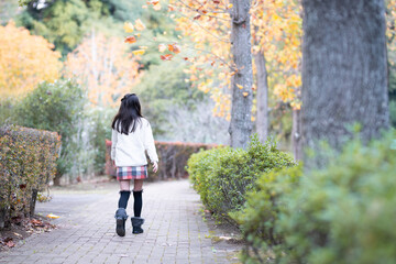 Fototapeta premium 秋の公園を散歩する女の子