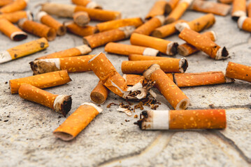 Cigarettes, matches and cigarette butts are scattered on the asphalt and road. Smoking is harmful to human health.