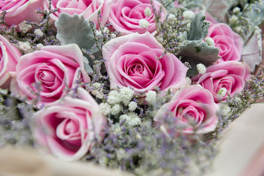 Closeup of pink roses bouquet with white and purple grass