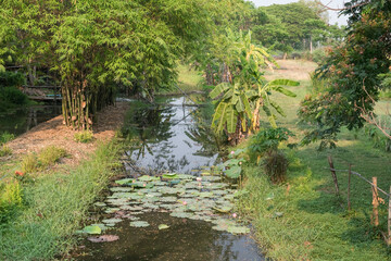 Top view local farm along canal at Suphanburi, Thailand