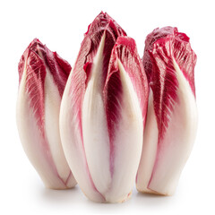 Red endives or italian chicoris on white background. File contains clipping path.