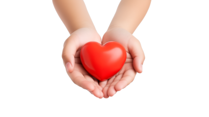 Child hands holding  red heart isolated on transparent background. health care, donate and family insurance concept,world heart day, world health day, CSR responsibility, adoption foster family, hope