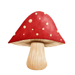 Mushroom