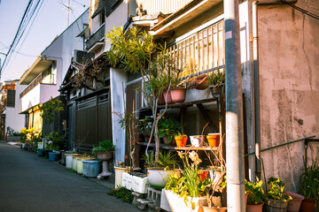 Schöne bepflanzte Gasse in Tokyo am Tag