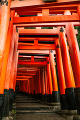 Fushimi-Inari-Taisha-Schrein in Kyoto am Tag