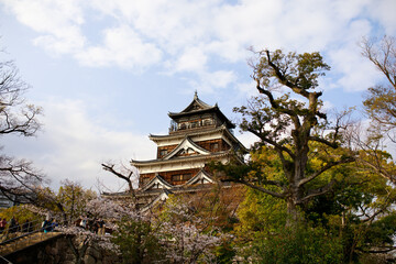 Fototapeta premium Schloss in Hiroshima am Tag