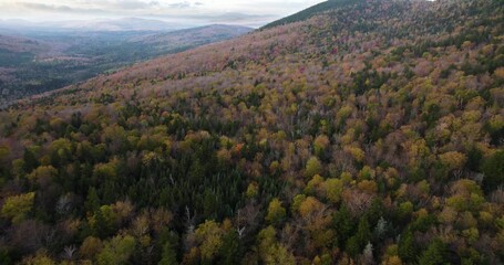 Flying over colorful national park forest hillside during overcast fall day