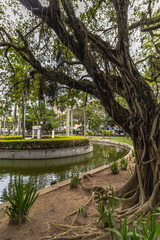 paisagem natural na cidade de Vitória, Estado do Espirito Santo, Brasil