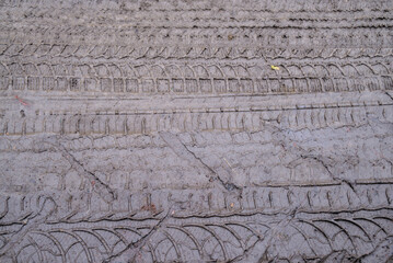 Photo of wheel tracks on soil