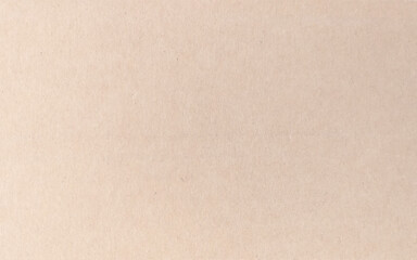 Brown paper texture with grain detail on it surface. The surface of hardboard 