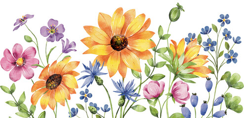 Sunflower border, floral  digital illustration. Isolated on white background.