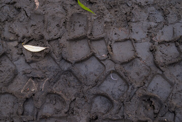 Rural muddy road after rain, etched traces in the mud