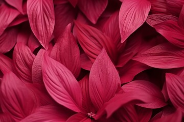 Viva Magenta beautiful view of big leaves in monochrome color. Forest Viva Magenta colored plants. Copy space. generative ai.