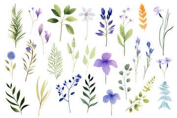 Illustration of watercolor-style flowers and leaves