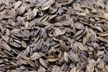 salted sunflower seeds on the counter at the market