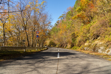 秋の高野龍神スカイライン