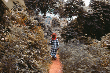 A young woman in a hat walks along a path among tall bushes, thickets, jungle. Summer day, tourism and travel. The road to Hydrangea beach, Tsikhisdziri, Georgia