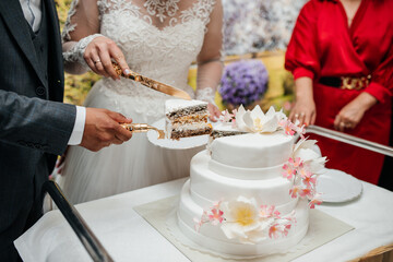 beautiful wedding cake on the background of the newlyweds