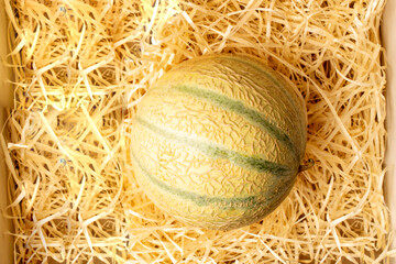 One ripe organic melon on wood shavings, close-up, top view.