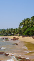 Paradise beach Cola beach Goa India travel palms with sea
