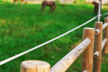 An electric fence with wires and insulator equipment secures a pasture where horses and cows feed on the grass and silage, providing safety and care for the farm animals. - obrazy, fototapety, plakaty