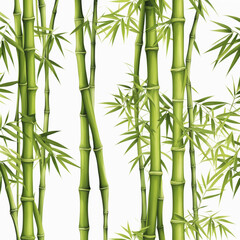 Naklejka premium Bamboo Isolated 