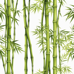 Fototapeta premium Bamboo Isolated 