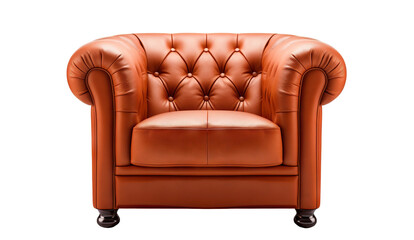 Designer leather armchair, cut out