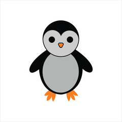 vector king penguin on white background