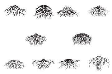 Set of tree roots - obrazy, fototapety, plakaty