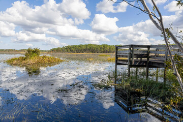 An old wooden overlook piers out over Bonnet Pond in the Split Oak Forest Wildlife and...