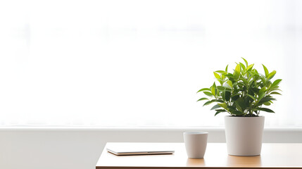 Minimalist Office: Desk with Cup, Plant, and Laptop in Natural Sunlight