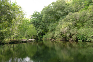 Fototapeta na wymiar Beautiful view of the Maceira river beach surrounded by dense vegetation and tall trees. Covelo - Galicia - Spain