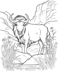 wildebeest coloring page for adults