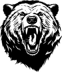 Grizzly Bear Head Vector Illustration
