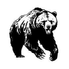 Stately Grizzly Bear Vector Illustration