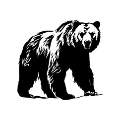 Stately Grizzly Bear Vector Illustration