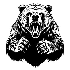 Ferocious Angry Grizzly Bear with Paws and Claws Vector Illustration