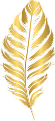 Fototapeta premium Golden feather, gold feather