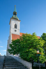 Bratislava cathedral with trees and stairway against blue sky for copy space