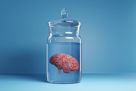 Human brain in a jar of preserving solutions on blue background. Illustration of the concept of preservation of specimens for scientific study and human body anatomy