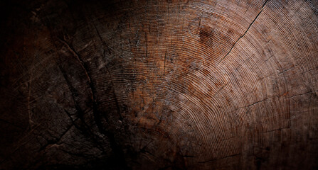 wood texture with annual rings - wery old tree