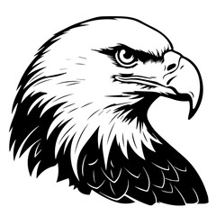 Majestic Eagle Head Vector Illustration