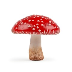 a red and white mushroom